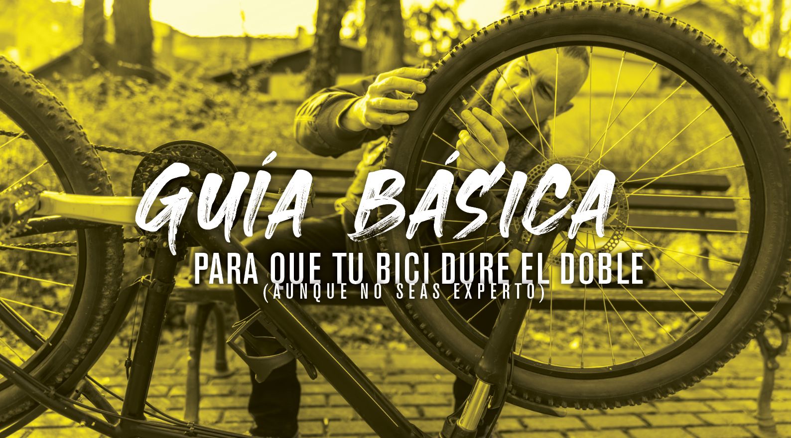 Guía básica para que tu bici dure el doble (aunque no seas experto)